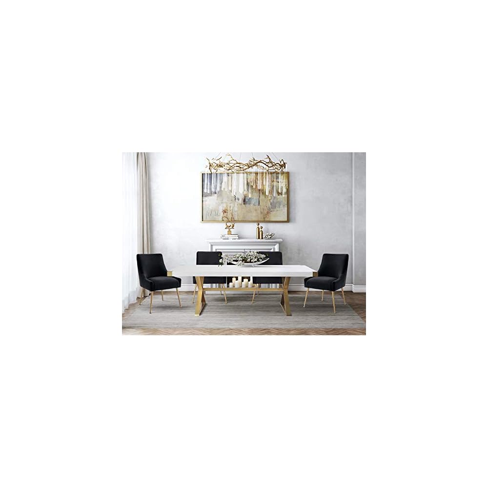 TOV Furniture Beatrix Ultra Modern Velvet Upholstered Dining Side Chair, 22" Black