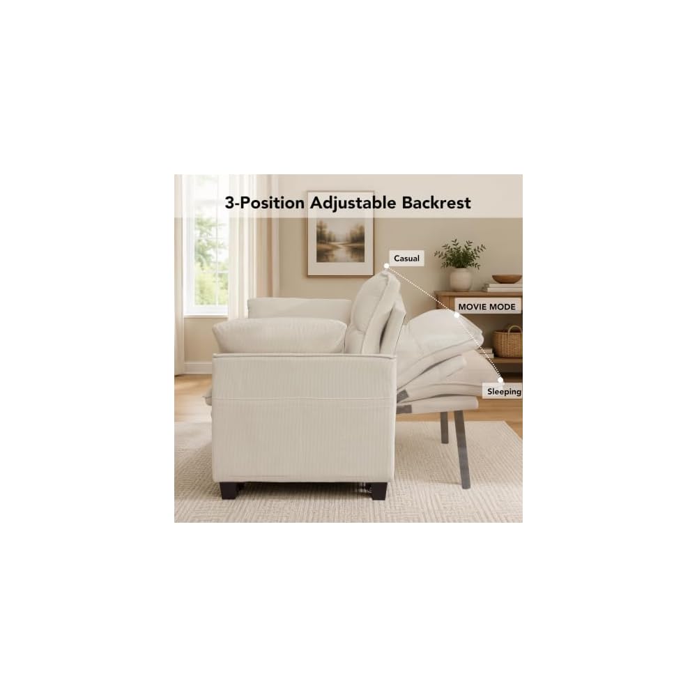 Sleeper Sofa Bed, Convertible Pull Out Couch for for Living Room, Loveseat