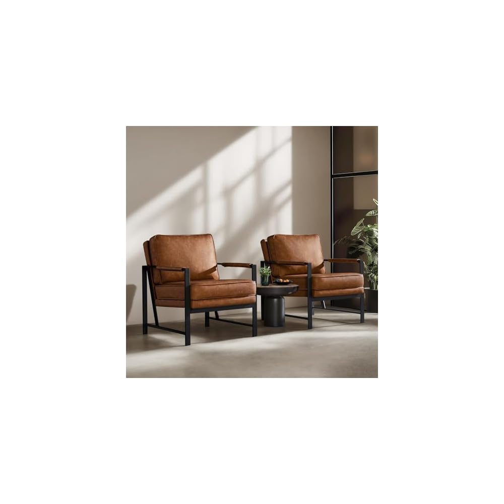 Yaheetech Mid-Century Modern Accent Chairs Set of 2, Black