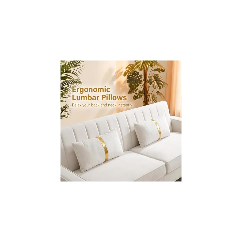 85" Sofa Couch,Velvet Sofa with 2 Pillows & Gold Legs,750 LBs Sturdy Frame Modern Couch for Bedroom,Apartment,Office
