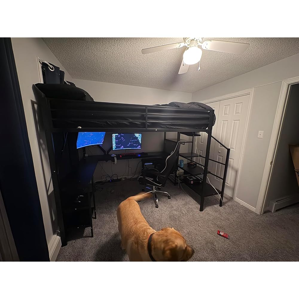 Queen Size Loft Bed with Desk and Stairs,Metal Gaming Loft Bed Queen with Wardrobe and Shelf, High Loft Bed with LED & USB Charging Station for Teens, Adults, Space Saving Design,Black